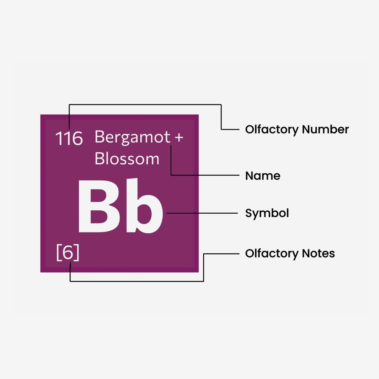 Bergamot + Blossom