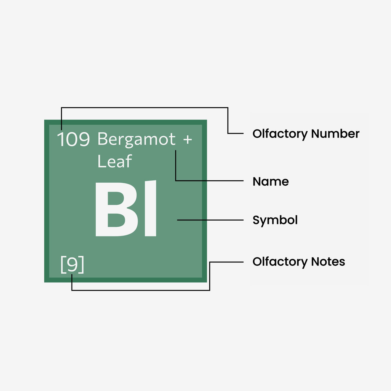 Bergamot + Leaf