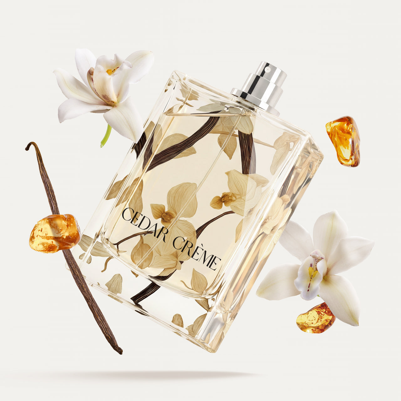 Cedar Crème