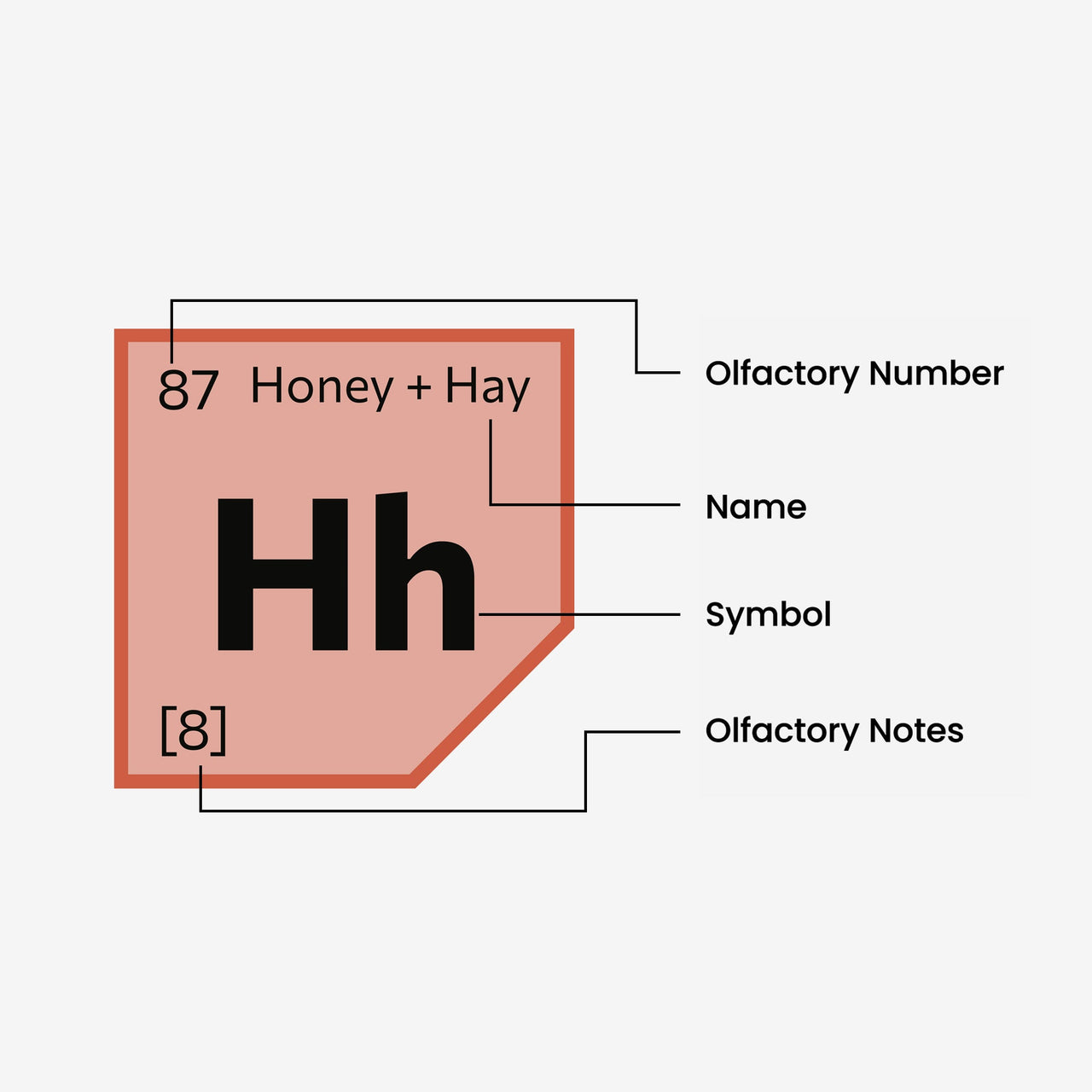 Honey + Hay