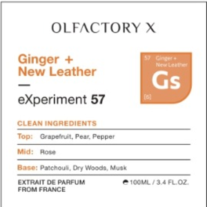 Ginger + New Leather 100 ml (3.4 oz)